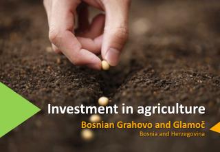 Investment in agriculture