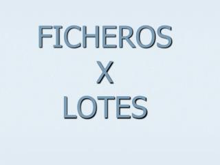 FICHEROS X LOTES