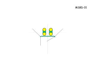 MSBD-01