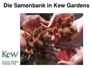 Die Samenbank in Kew Gardens