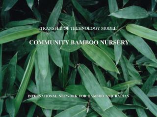 TRANSFER OF TECHNOLOGY MODEL COMMUNITY BAMBOO NURSERY