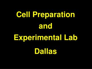 Cell Preparation and Experimental Lab Dallas
