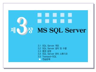 3 장 . MS SQL Server