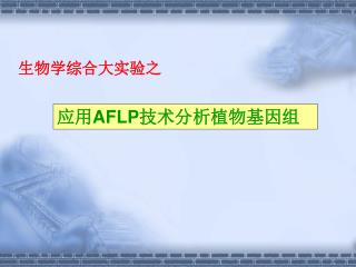 应用 AFLP 技术分析植物基因组