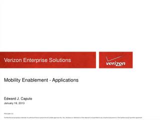 Verizon Enterprise Solutions