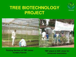 TREE BIOTECHNOLOGY PROJECT