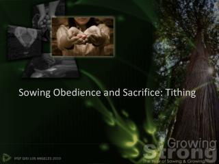 Sowing Obedience and Sacrifice: Tithing