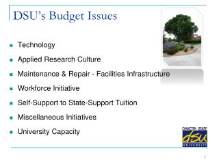 DSU’s Budget Issues