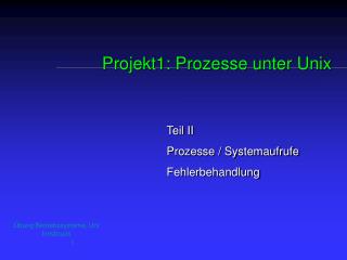 Projekt1: Prozesse unter Unix