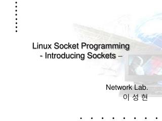 Linux Socket Programming - Introducing Sockets –