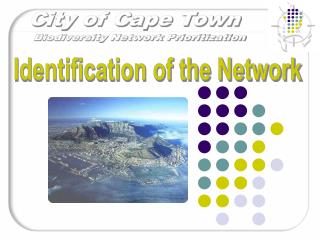 Identification of the Network