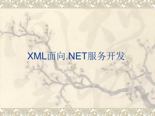 XML 面向 .NET 服务开发