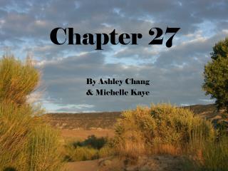 Chapter 27