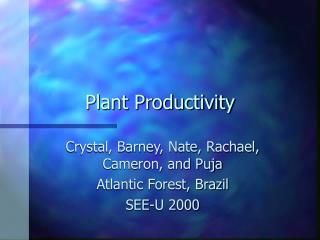 Plant Productivity
