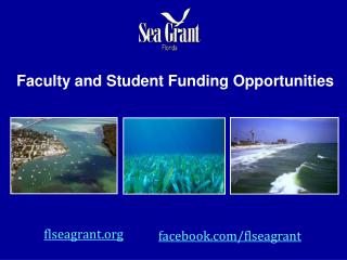 Faculty and Student Funding Opportunities