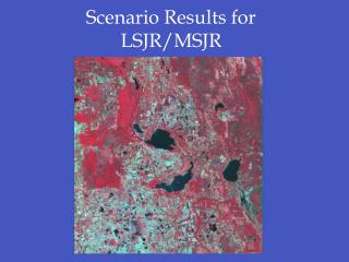 Scenario Results for LSJR/MSJR