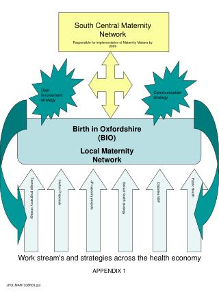 Birth in Oxfordshire (BIO) Local Maternity Network