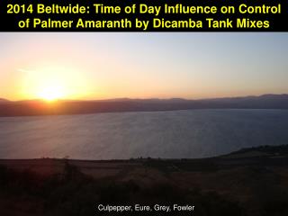2014 Beltwide: Time of Day Influence on Control of Palmer Amaranth by Dicamba Tank Mixes