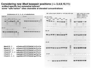 Considering new Mso I basepair positions (-/+ 3,4,9,10,11):