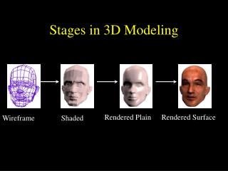 Stages in 3D Modeling