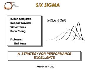 A STRATEGY FOR PERFORMANCE EXCELLENCE