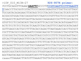 &gt;10F_010_M13R-27 926-907R primer: