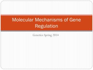 Molecular Mechanisms of Gene Regulation