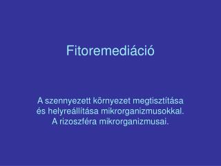 Fitoremediáció