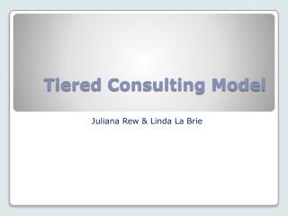 Tiered Consulting Model