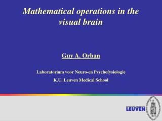 Mathematical operations in the visual brain