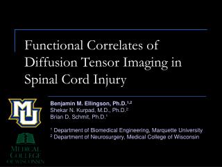 Functional Correlates of Diffusion Tensor Imaging in Spinal Cord Injury