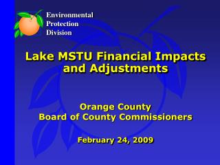 Lake MSTU Financial Impacts and Adjustments