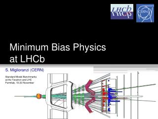 Minimum Bias Physics at LHCb