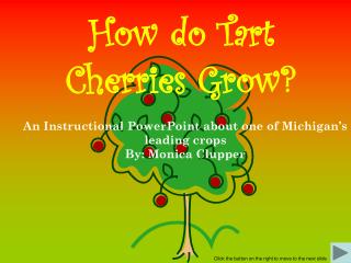 How do Tart Cherries Grow?