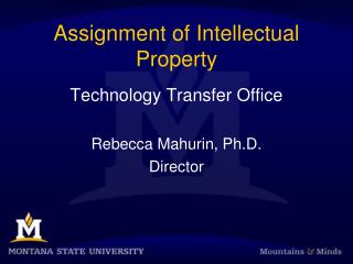 Assignment of Intellectual Property