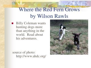 Where the Red Fern Grows by Wilson Rawls