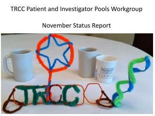 TRCC Patient and Investigator Pools Workgroup November Status Report