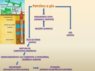 Petróleo e gás