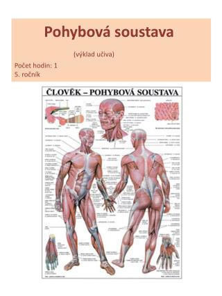 Pohybová soustava (výklad učiva) Počet hodin: 1 5. ročník