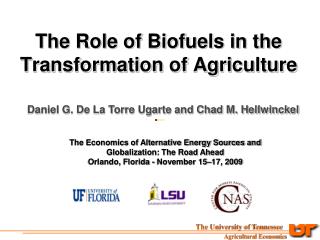 The Role of Biofuels in the Transformation of Agriculture