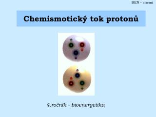 Chemismotický tok protonů