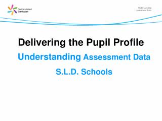 Delivering the Pupil Profile