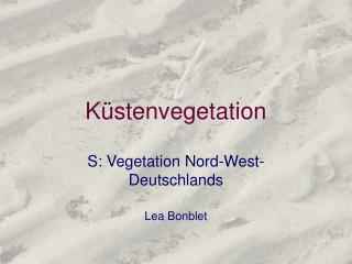 Küstenvegetation