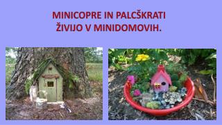 MINICOPRE IN PALCŠKRATI ŽIVIJO V MINIDOMOVIH.