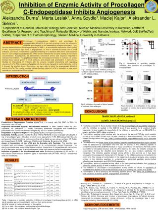 Inhibition of Enzymic Activity of Procollagen C-Endopeptidase Inhibits Angiogenesis