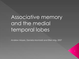 Associative memory and the medial temporal lobes