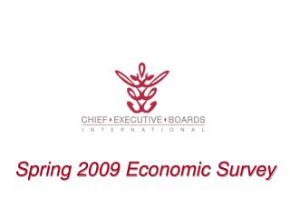 Spring 2009 Economic Survey