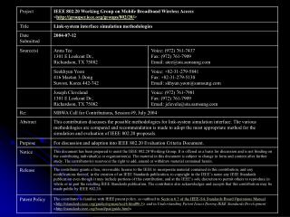 Link-System Interface Simulation Methodologies