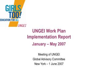 UNGEI Work Plan Implementation Report January – May 2007