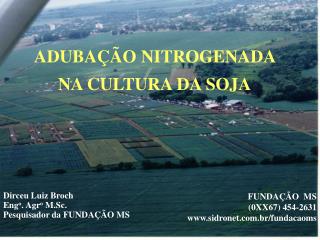 ADUBAÇÃO NITROGENADA NA CULTURA DA SOJA